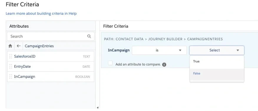 Filter Criteria panel showing InCampaign is False selected from the CampaignEntries attribute group